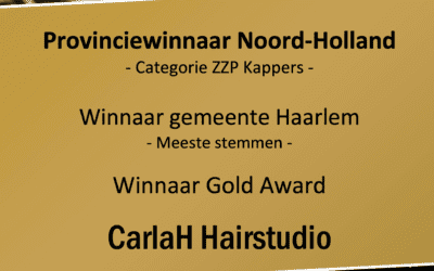 Winner Gold Award Province North-Holland and Winner city Haarlem